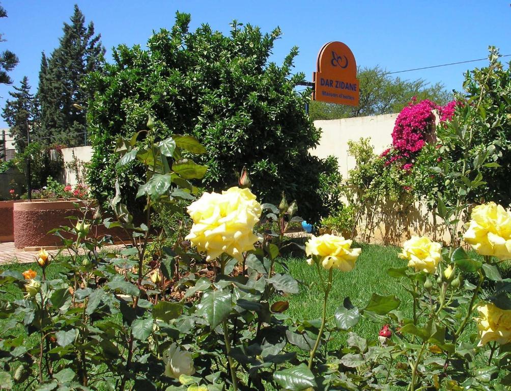 Riad Dar Zidane Meknès Exterior foto